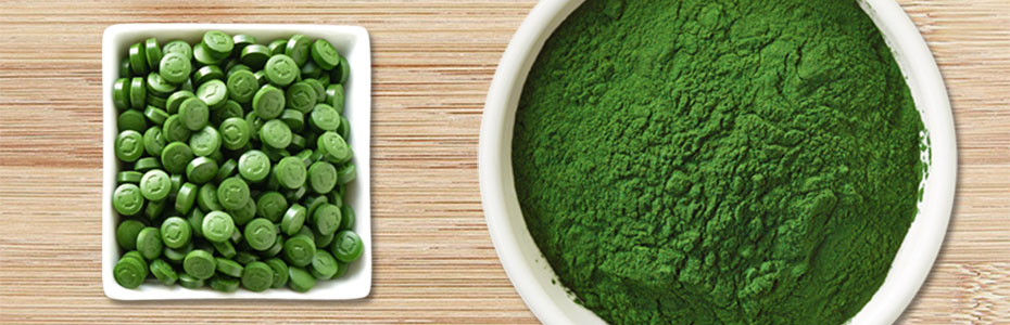 Original Taiwan Chlorella Presslinge – pures Chlorella
